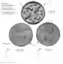 Fig. 01 - Metallized Plastic Pet Product
