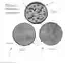 Fig. 02 - Metallized Plastic Pet Product