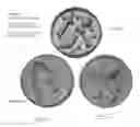 Fig. 03 - Metallized Plastic Pet Product
