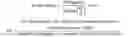 Fig. 02 - Coextruded, crosslinked multilayer polyolefin foam structures from recycled metallized polyolefin material and methods of making the same