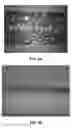 Fig. 09 - Coextruded, crosslinked multilayer polyolefin foam structures from recycled metallized polyolefin material and methods of making the same