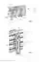 Fig. 02 - Shutter-controlling device for a motor vehicle, and frame comprising such a device