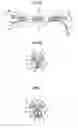 Fig. 02 - Complex harness