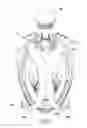 Fig. 15 - Diving mask provided with a telecommunications device