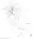 Fig. 02 - Aircraft