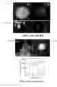 Fig. 06 - Nitride stabilized core/shell nanoparticles