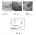 Fig. 08 - Nitride stabilized core/shell nanoparticles