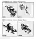 Fig. 01 - Synthesis of nanostructured zinc silicate from renewable sources