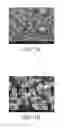 Fig. 02 - Micropowder and method for manufacturing the same