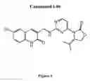 Fig. 02 - Quinolinone pyrimidines compositions as mutant-isocitrate dehydrogenase inhibitors