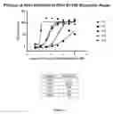 Fig. 05 - Quinolinone pyrimidines compositions as mutant-isocitrate dehydrogenase inhibitors