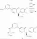 Fig. 44 - Process for the manufacturing of medicaments