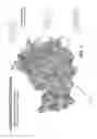 Fig. 02 - Compounds for treating rac-GTPase mediated disorder