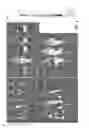 Fig. 09 - Compounds for treating rac-GTPase mediated disorder