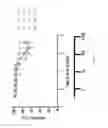 Fig. 26 - Ligands selective to alpha 6 subunit-containing GABAA receptors and their methods of use