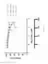 Fig. 27 - Ligands selective to alpha 6 subunit-containing GABAA receptors and their methods of use