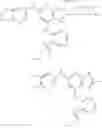 Fig. 1302 - TYK2 inhibitors and uses thereof