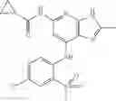 Fig. 166 - TYK2 inhibitors and uses thereof