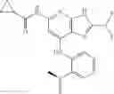 Fig. 337 - TYK2 inhibitors and uses thereof