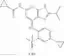 Fig. 992 - TYK2 inhibitors and uses thereof