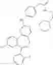 Fig. 211 - Compounds and methods for inhibiting mitotic progression
