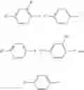 Fig. 08 - Cyclic ether derivatives of pyrazolo[1,5-a]pyrimidine-3-carboxyamide