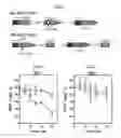 Fig. 20 - Inhibitors of RAD52 recombination protein and methods using same