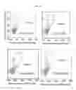 Fig. 23 - Inhibitors of RAD52 recombination protein and methods using same