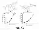 Fig. 06 - Methods and compositions of substituted 5H-[1,2,5] oxadiazolo [3′,4′:5,6] pyrazino[2,3-B] indole analogs as inhibitors of β-catenin/T-cell factor protein-protein interactions