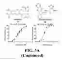 Fig. 07 - Methods and compositions of substituted 5H-[1,2,5] oxadiazolo [3′,4′:5,6] pyrazino[2,3-B] indole analogs as inhibitors of β-catenin/T-cell factor protein-protein interactions