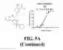 Fig. 08 - Methods and compositions of substituted 5H-[1,2,5] oxadiazolo [3′,4′:5,6] pyrazino[2,3-B] indole analogs as inhibitors of β-catenin/T-cell factor protein-protein interactions