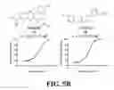 Fig. 09 - Methods and compositions of substituted 5H-[1,2,5] oxadiazolo [3′,4′:5,6] pyrazino[2,3-B] indole analogs as inhibitors of β-catenin/T-cell factor protein-protein interactions