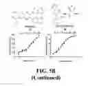 Fig. 10 - Methods and compositions of substituted 5H-[1,2,5] oxadiazolo [3′,4′:5,6] pyrazino[2,3-B] indole analogs as inhibitors of β-catenin/T-cell factor protein-protein interactions