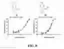 Fig. 16 - Methods and compositions of substituted 5H-[1,2,5] oxadiazolo [3′,4′:5,6] pyrazino[2,3-B] indole analogs as inhibitors of β-catenin/T-cell factor protein-protein interactions