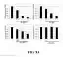 Fig. 19 - Methods and compositions of substituted 5H-[1,2,5] oxadiazolo [3′,4′:5,6] pyrazino[2,3-B] indole analogs as inhibitors of β-catenin/T-cell factor protein-protein interactions