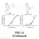 Fig. 34 - Methods and compositions of substituted 5H-[1,2,5] oxadiazolo [3′,4′:5,6] pyrazino[2,3-B] indole analogs as inhibitors of β-catenin/T-cell factor protein-protein interactions
