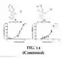 Fig. 35 - Methods and compositions of substituted 5H-[1,2,5] oxadiazolo [3′,4′:5,6] pyrazino[2,3-B] indole analogs as inhibitors of β-catenin/T-cell factor protein-protein interactions