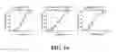 Fig. 44 - Methods and compositions of substituted 5H-[1,2,5] oxadiazolo [3′,4′:5,6] pyrazino[2,3-B] indole analogs as inhibitors of β-catenin/T-cell factor protein-protein interactions