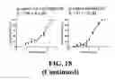 Fig. 55 - Methods and compositions of substituted 5H-[1,2,5] oxadiazolo [3′,4′:5,6] pyrazino[2,3-B] indole analogs as inhibitors of β-catenin/T-cell factor protein-protein interactions