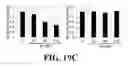 Fig. 57 - Methods and compositions of substituted 5H-[1,2,5] oxadiazolo [3′,4′:5,6] pyrazino[2,3-B] indole analogs as inhibitors of β-catenin/T-cell factor protein-protein interactions