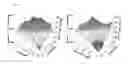 Fig. 05 - Mito-honokiol compounds and methods of synthesis and use thereof