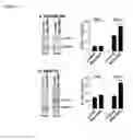 Fig. 08 - Mito-honokiol compounds and methods of synthesis and use thereof