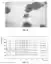 Fig. 12 - METHODS OF SYNTHESIZING SUBSTITUTED PURINE COMPOUNDS