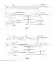 Fig. 05 - Process for preparing compounds having triple activities of thrombolysis, antithrombosis, and radical scavenging