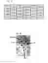 Fig. 02 - PAR1 and PAR2 c-tail peptides and peptide mimetics
