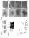 Fig. 03 - PAR1 and PAR2 c-tail peptides and peptide mimetics
