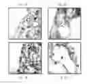 Fig. 02 - Exosomes and methods of making and using the same