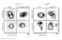Fig. 08 - Exosomes and methods of making and using the same