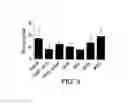 Fig. 04 - Stabilized STAT3 decoy oligonucleotides and uses therefor