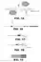 Fig. 02 - METHODS FOR GENERATING ENDOGENOUSLY TAGGED PROTEINS